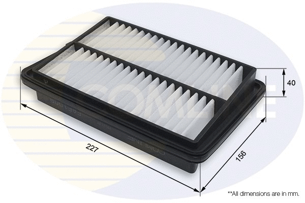 Air Filter (EAF1009)