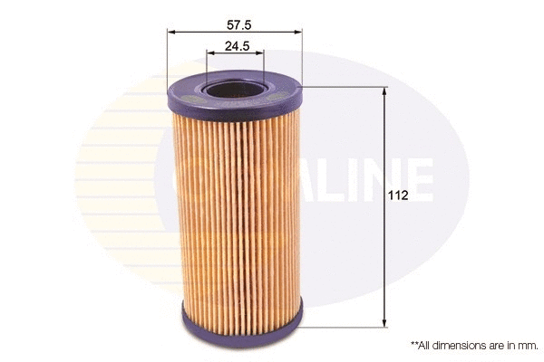 Oil Filter (EOF202)