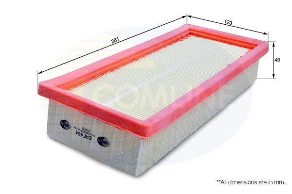 Air Filter (EAF484)