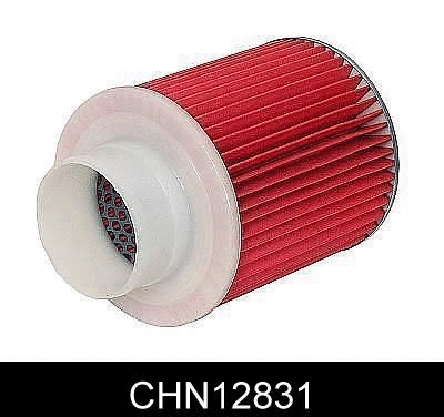 Air Filter (CHN12831)