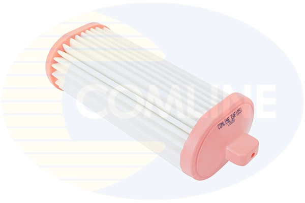 Air Filter (EAF1051)