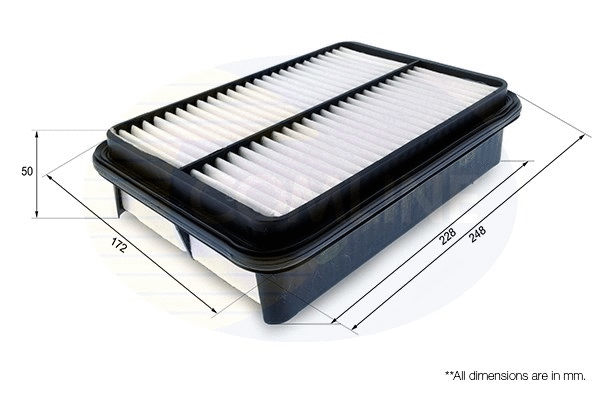 Air Filter (CTY12171)