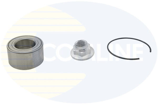 Wheel Bearing Kit (CBK319)