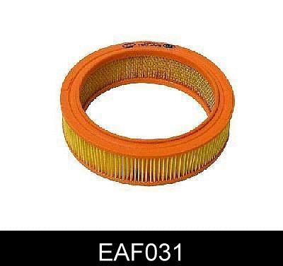 Air Filter (EAF031)