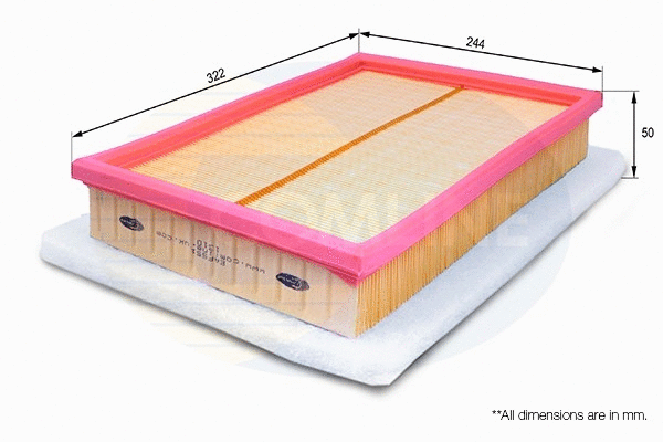 Air Filter (EAF551)