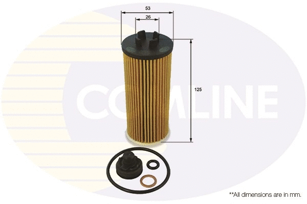 Oil Filter (EOF296)