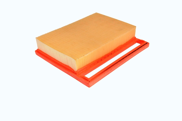 Air Filter (EAF686)