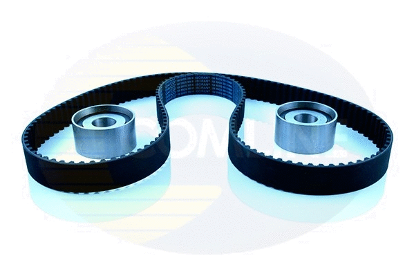 Timing Belt Kit (CTBK079)