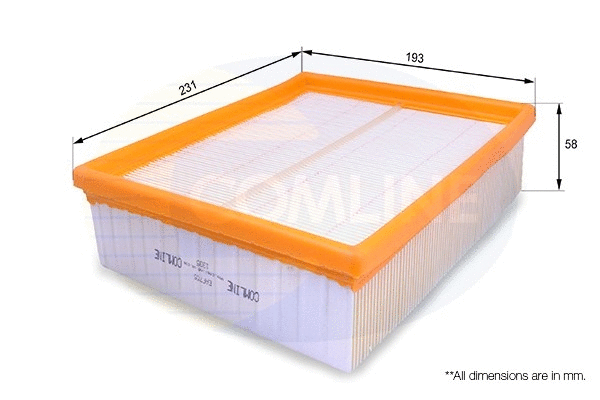 Air Filter (EAF705)
