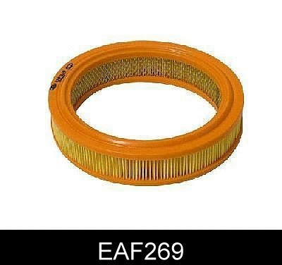 Air Filter (EAF269)