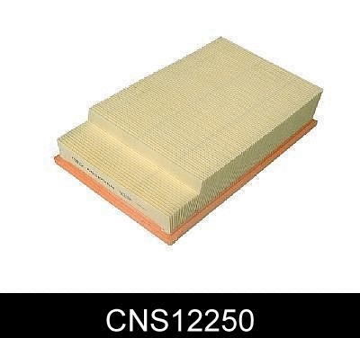 Air Filter (CNS12250)