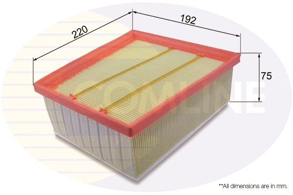 Air Filter (EAF953)