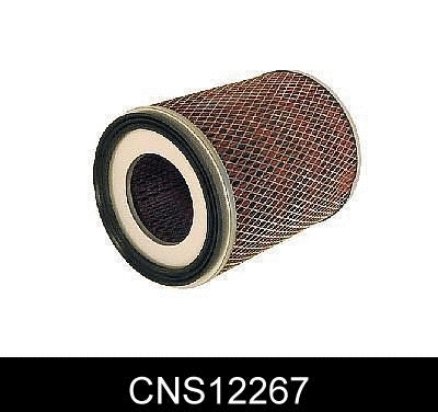 Air Filter (CNS12267)