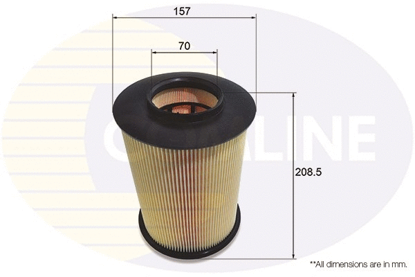 Air Filter (EAF691)