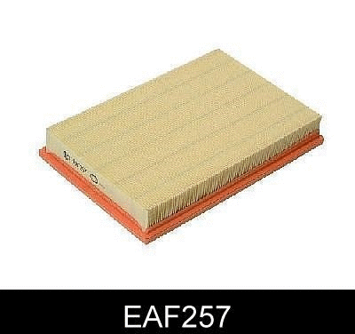 Air Filter (EAF257)