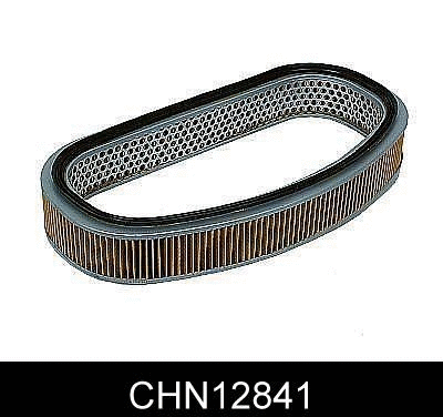 Air Filter (CHN12841)