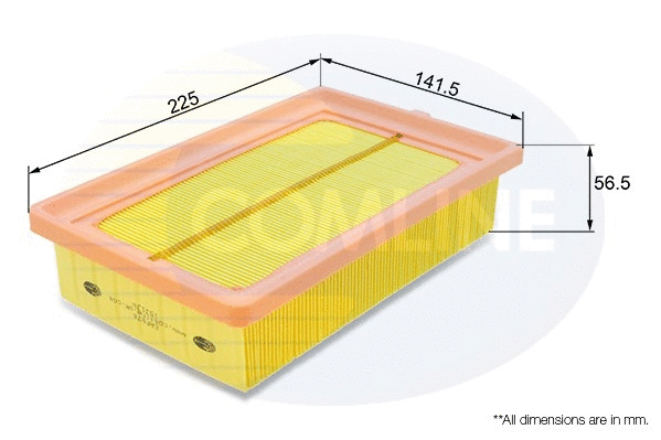 Air Filter (EAF876)
