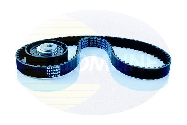 Timing Belt Kit (CTBK012)