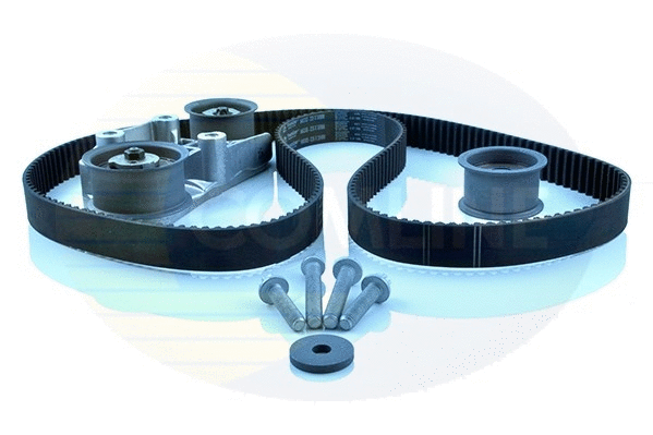 Timing Belt Kit (CTBK194)