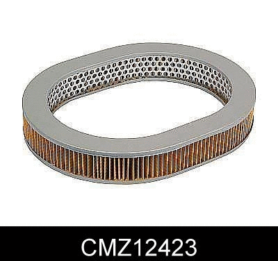 Air Filter (CMZ12423)