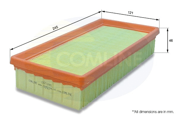 Air Filter (CSZ12985)