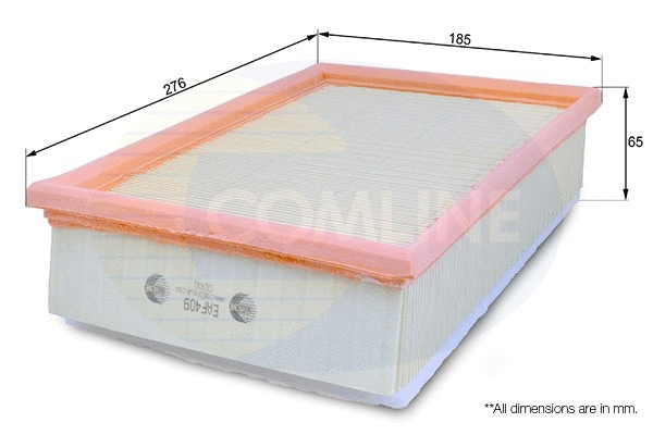Air Filter (EAF409)