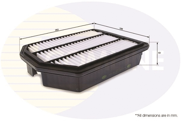 Air Filter (CKI12267)