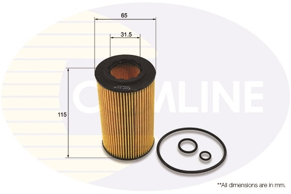 Oil Filter (EOF308)