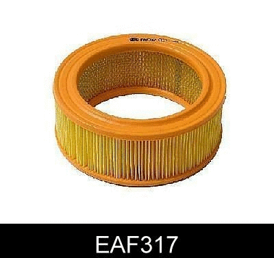 Air Filter (EAF317)