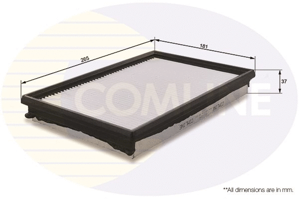Air Filter (CKI12040)