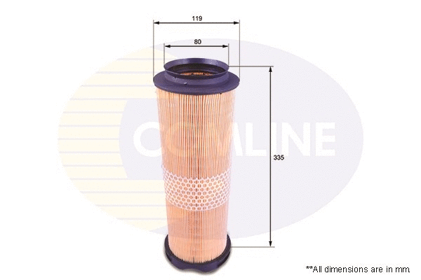 Air Filter (EAF817)