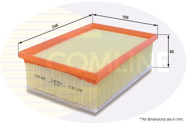 Air Filter (EAF593)