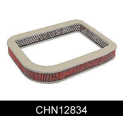 Air Filter (CHN12834)