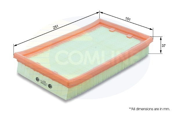 Air Filter (CSZ12610)