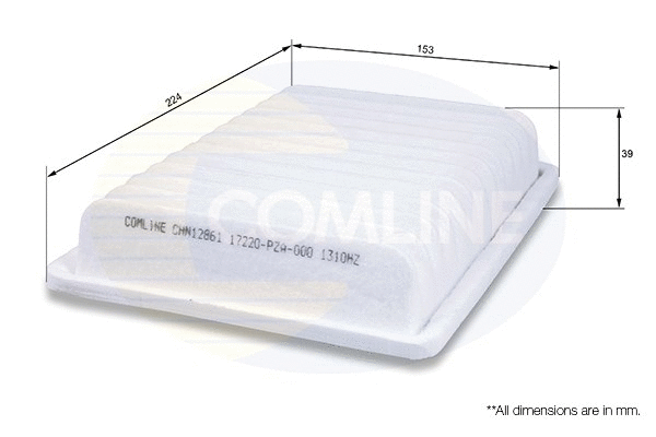 Air Filter (CHN12861)