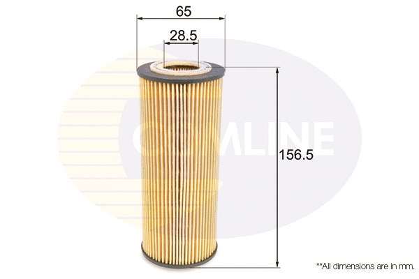 Oil Filter (EOF200)