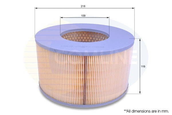 Air Filter (CTY12070)