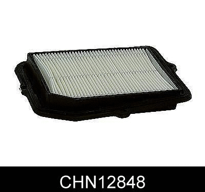 Air Filter (CHN12848)