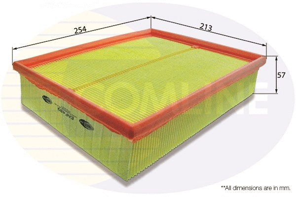 Air Filter (EAF489)