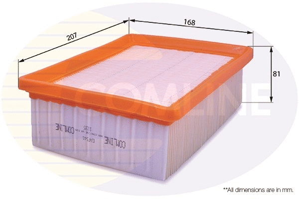 Air Filter (EAF541)