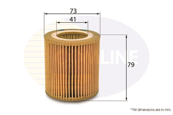 Oil Filter (EOF196)