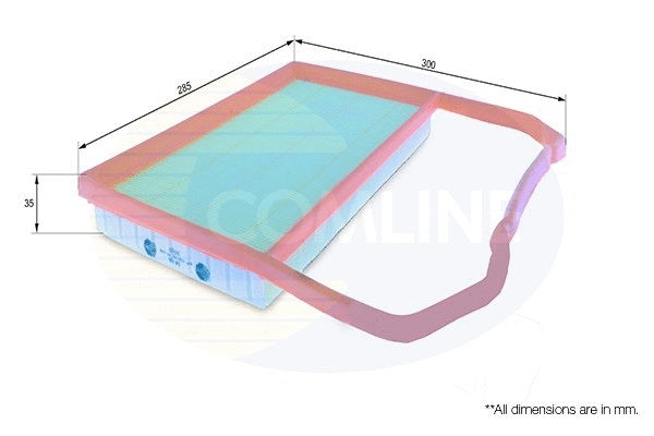 Air Filter (EAF798)