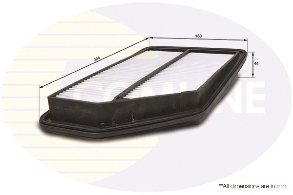 Air Filter (CHN12859)