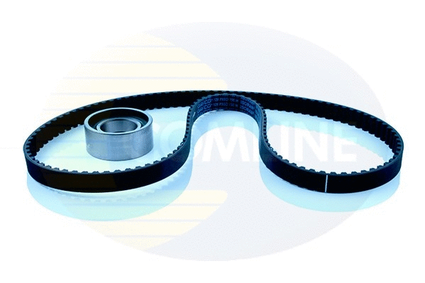 Timing Belt Kit (CTBK029)