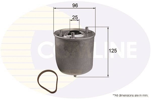 Fuel Filter (EFF246)