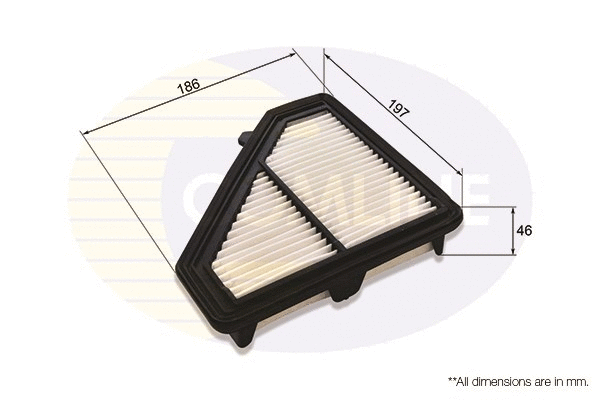 Air Filter (EAF921)