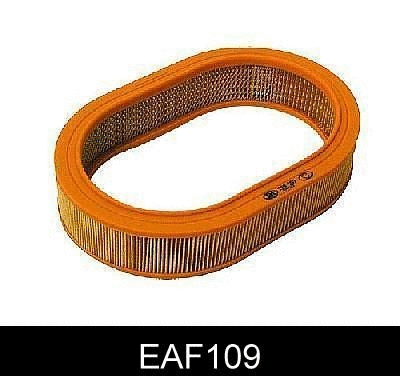 Air Filter (EAF109)