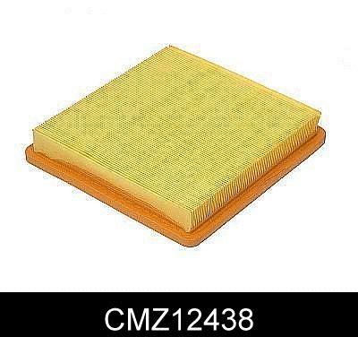 Air Filter (CMZ12438)