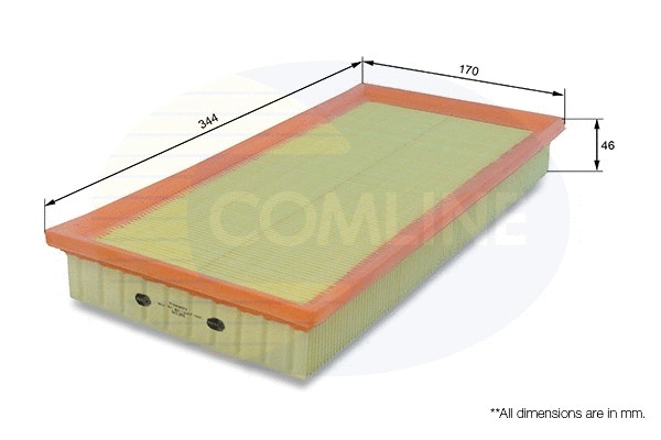 Air Filter (EAF270)