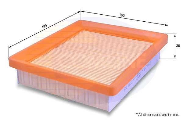Air Filter (EAF578)